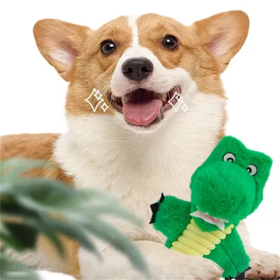 IntiMeg Jouet en peluche sonore pour chien et chat