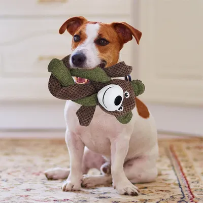 IntiMeg Jouet couineur pour chien en peluche
