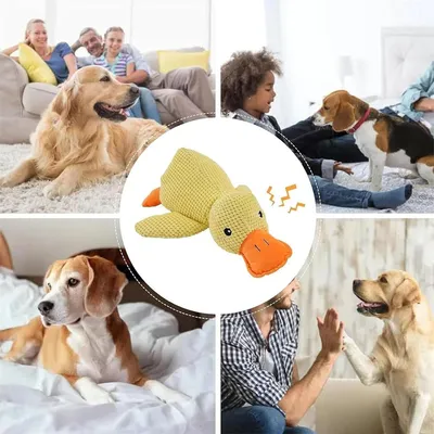 IntiMeg Jouet canard en peluche pour chien