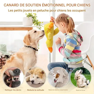 IntiMeg Jouet canard en peluche pour chien