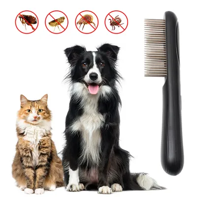 IntiMeg Électronique Peigne antiparasitaire pour chien et chat