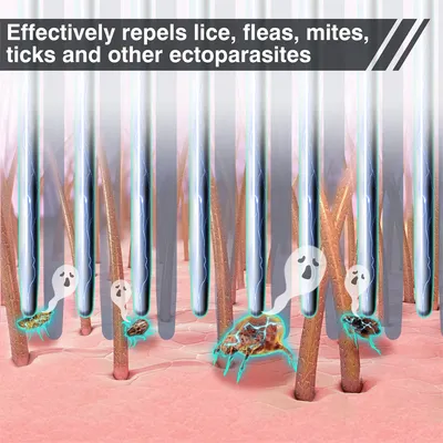 IntiMeg Électronique Peigne antiparasitaire pour chien et chat