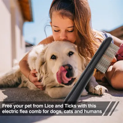 IntiMeg Électronique Peigne antiparasitaire pour chien et chat