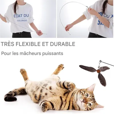 IntiMeg Canne à pêche Teaser pour chat