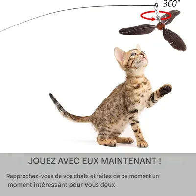 IntiMeg Canne à pêche Teaser pour chat