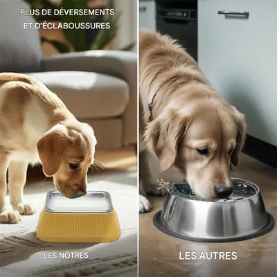 IntiMeg Gamelle pour Chien en Acier Inoxydable