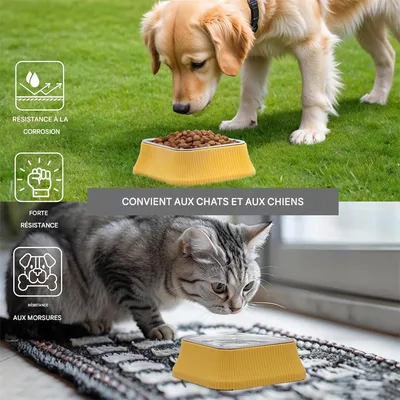 IntiMeg Gamelle pour Chien en Acier Inoxydable