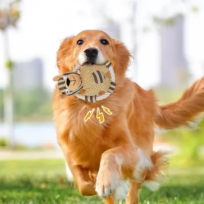 IntiMeg Jouet à corde couineur pour chien