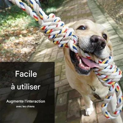 IntiMeg Hundespielzeugseil, 60 cm IntiMeg Hundespielzeugseil, 60 cm