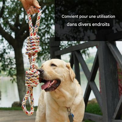IntiMeg Corde de jouet pour chien de 60 cm