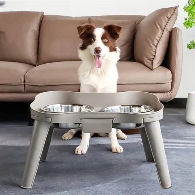IntiMeg Gamelle surélevée pour chien et chat