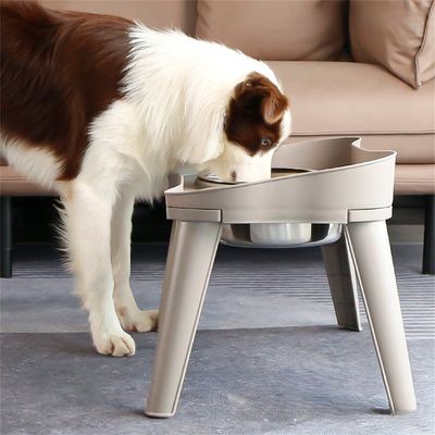 IntiMeg Gamelle surélevée pour chien et chat
