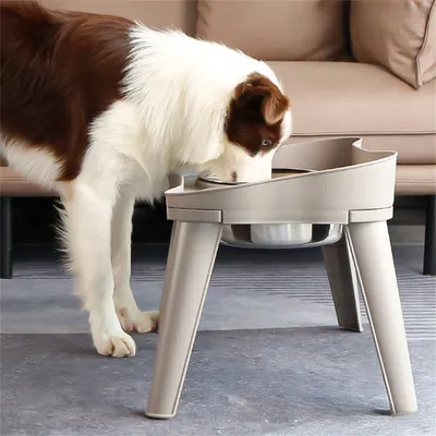 IntiMeg Gamelle surélevée pour chien et chat