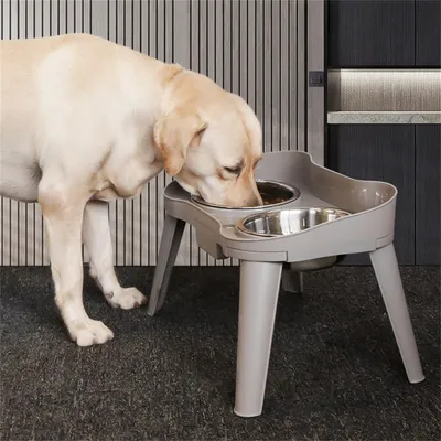 IntiMeg Gamelle surélevée pour chien et chat
