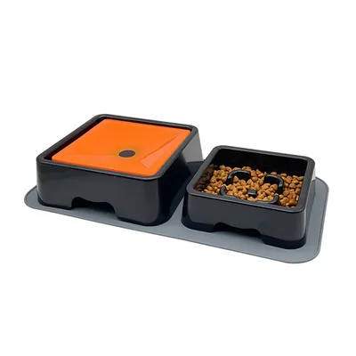 IntiMeg Ensemble de mangeoires anti - glouton pour chien et chat+ tapis