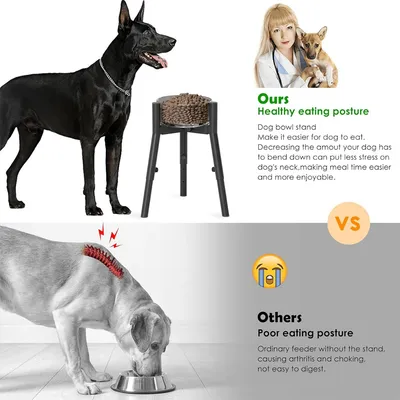 IntiMeg Porte-gamelles avec bol