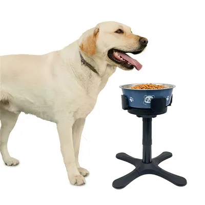 IntiMeg Porte-gamelles réglable pour chiens