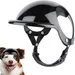 Petopia Casque de chien