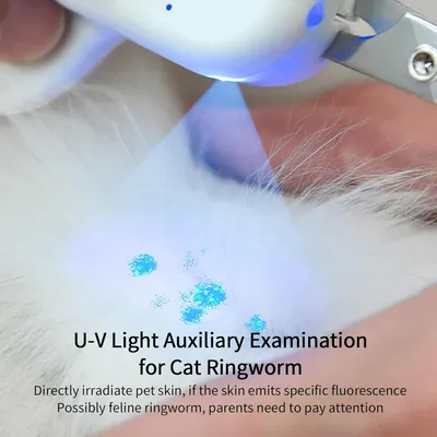 UAMLY Coupe-griffes pour animaux de compagnie avec lumière LED et UV