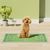 Alèses Jetables d'Apprentissage Propreté pour Chiots