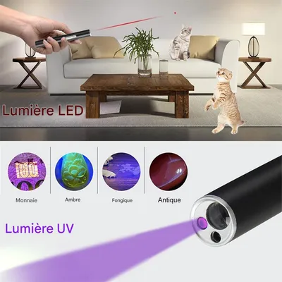 IntiMeg Pointeur laser multifonction