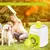 IntiMeg Lot de balles de tennis pour chien