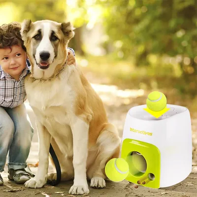 IntiMeg Lot de balles de tennis pour chien