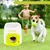 IntiMeg Lot de balles de tennis pour chien