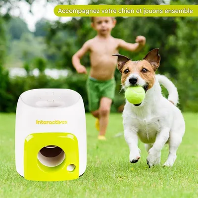 IntiMeg Lot de balles de tennis pour chien