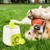 IntiMeg Lot de balles de tennis pour chien