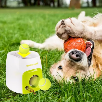 IntiMeg Lot de balles de tennis pour chien