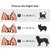 UAMLY Hamac coupe-griffes pour chat – Harnais de toilettage pour animaux