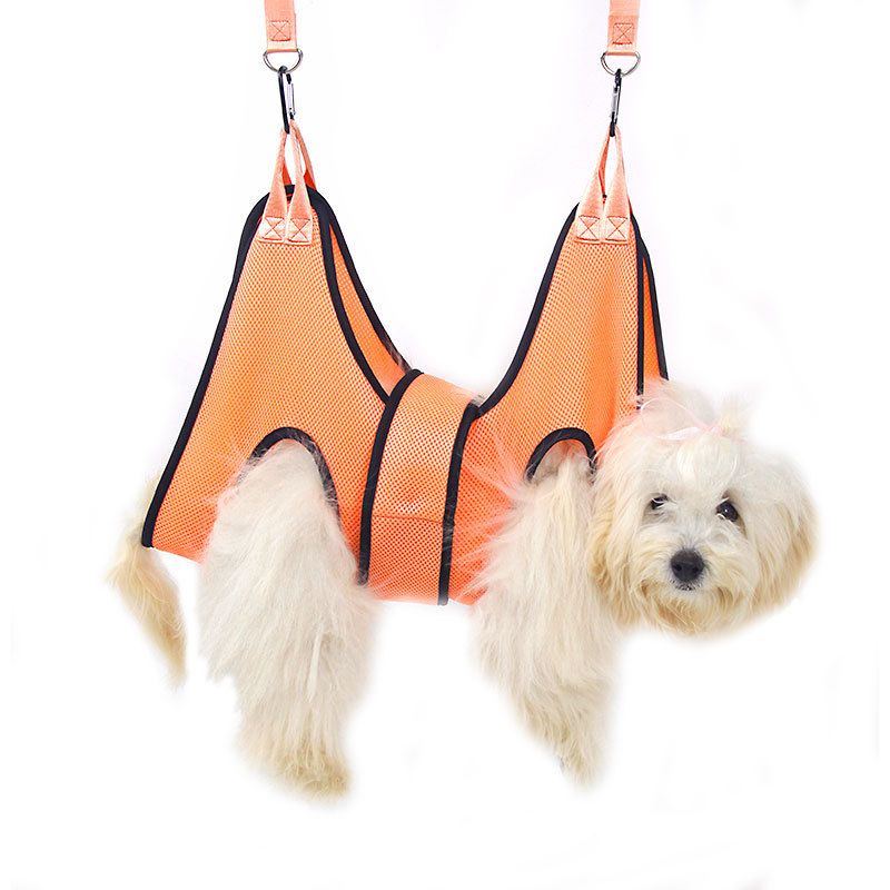 UAMLY Hamac coupe-griffes pour chat – Harnais de toilettage pour animaux