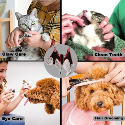 UAMLY Harnais hamac de toilettage pour chat