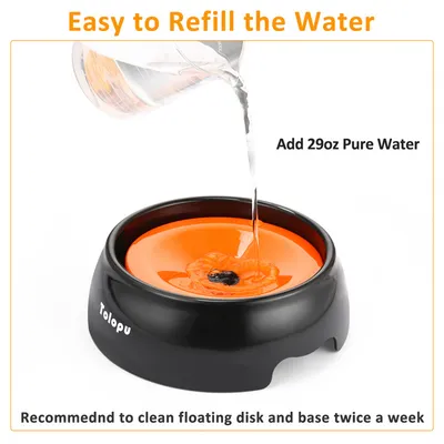 IntiMeg Gamelle d'eau pour Chien et Chat - Anti - Éclaboussure