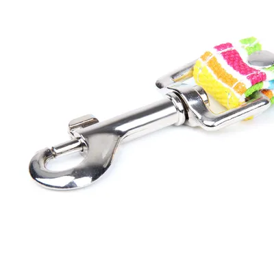 Laisses colorées pour chiens