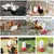 IntiMeg Kit mangeoire et abreuvoir pour poussins