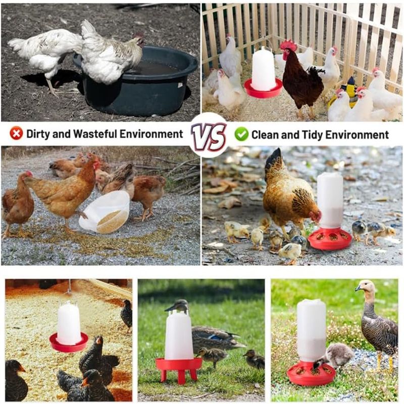 IntiMeg Kit mangeoire et abreuvoir pour poussins