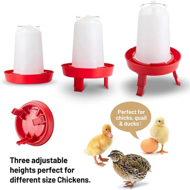 IntiMeg Kit mangeoire et abreuvoir pour poussins