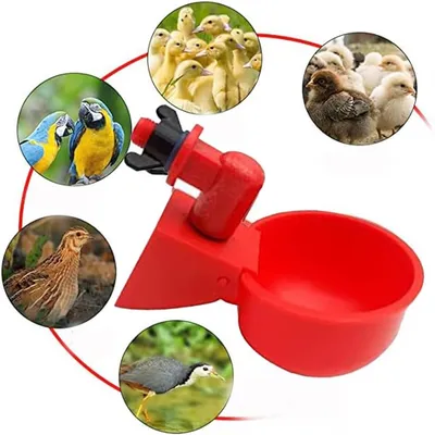 IntiMeg Lot de 6 abreuvoirs automatiques pour volailles