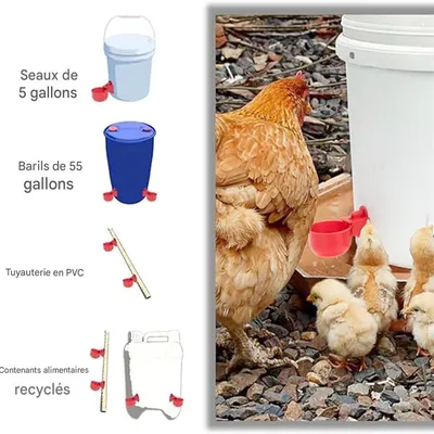 IntiMeg Lot de 6 abreuvoirs automatiques pour volailles