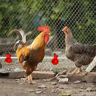 IntiMeg Lot de 6 abreuvoirs automatiques pour volailles