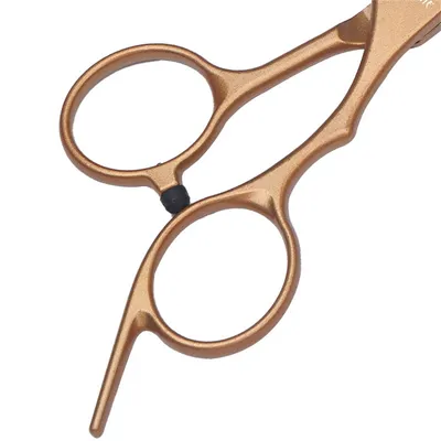 IntiMeg Ciseaux professionnels pour chien