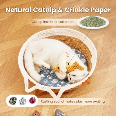 UAMLY Jouets pour chats, poissons et herbe à chat