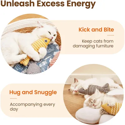 UAMLY Jouets pour chats, poissons et herbe à chat