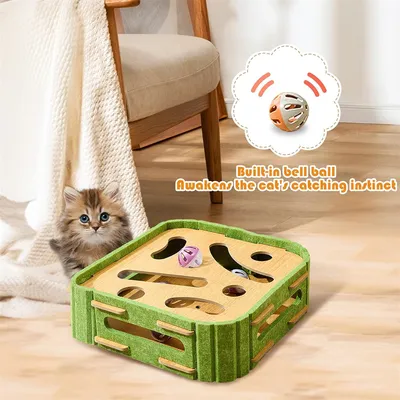 IntiMeg Circuit interactif pour chat