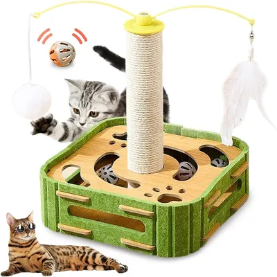 IntiMeg Circuit interactif pour chat
