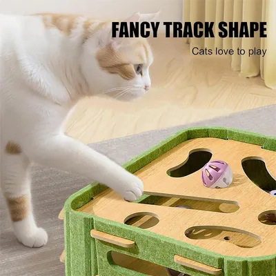IntiMeg Circuit interactif pour chat