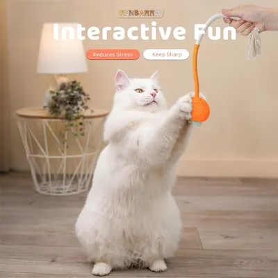 IntiMeg Jouet de dentition pour chat