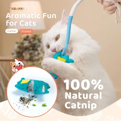 IntiMeg Jouet de dentition pour chat
